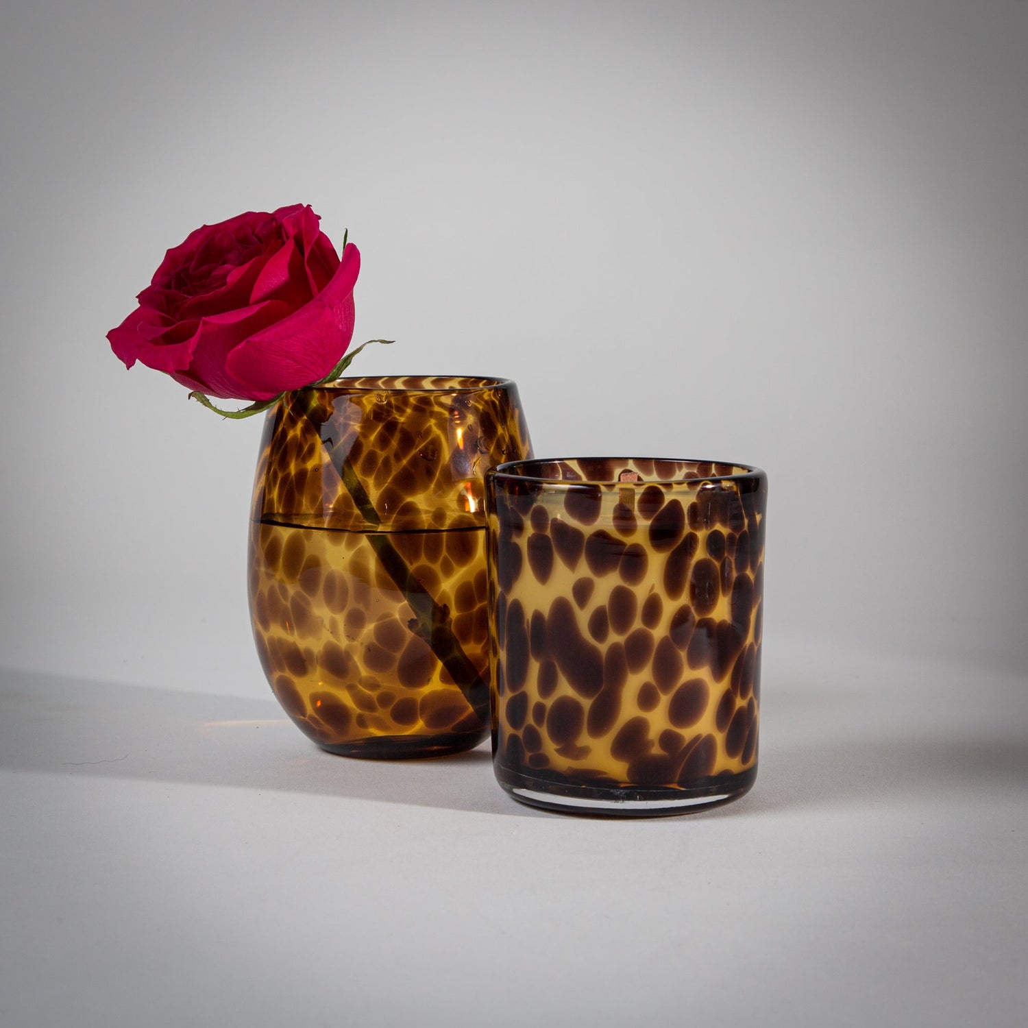 Leopard Print Collection